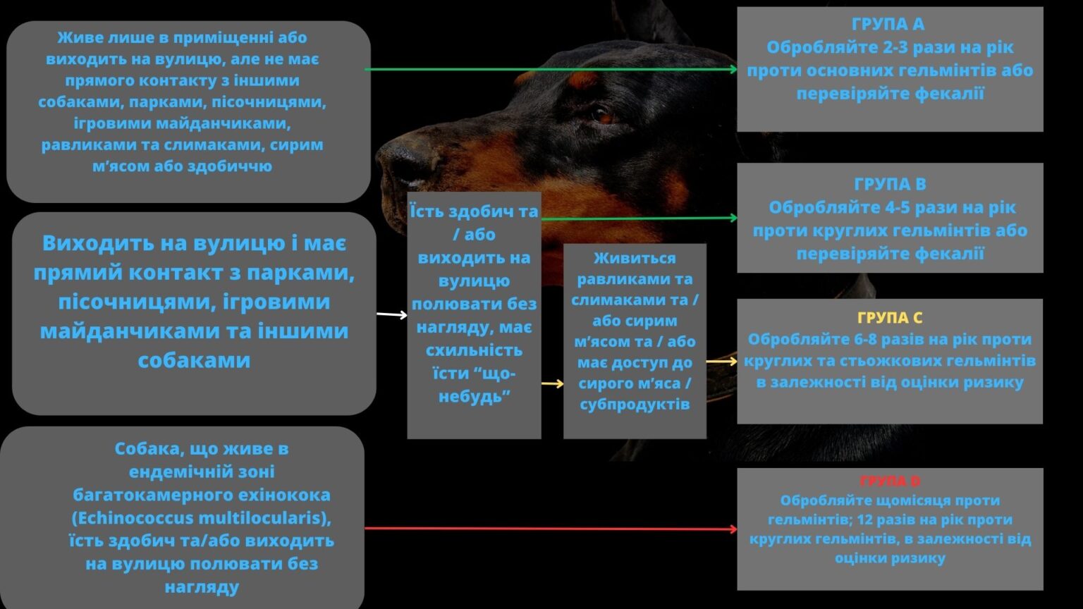 Низький_ризик_зараження_дозрілими_стадіями_гельмінтів,_малоймовірне