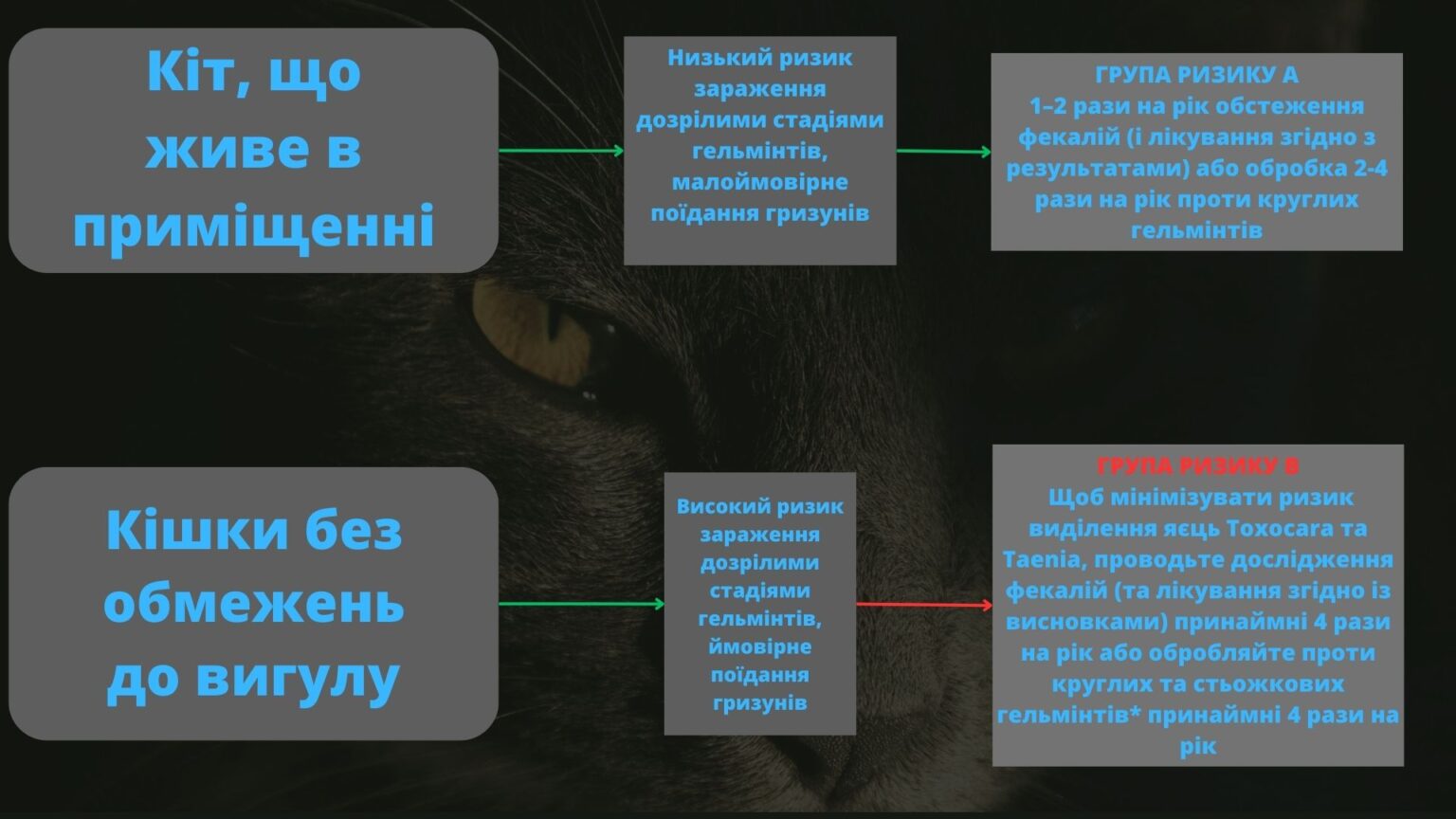 Низький_ризик_зараження_дозрілими_стадіями_гельмінтів,_малоймовірне (2)